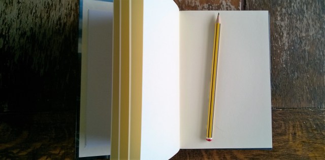 WP_20160415_15_19_10_Pro (2)