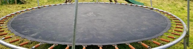 WP_20160621_14_55_51_Pro (2)